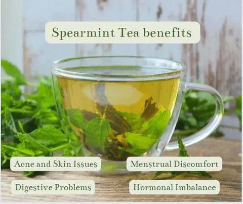 Spearmint Tea Bags by NatuBea